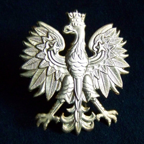 Polish White Eagle Patch