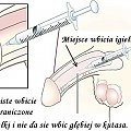 Może coś do mnie napiszesz. Ja jestem Bisex Uniwersalny. Coś o sobie ale konkretnie. Pisz tylko tu: koczis@wp.pl A konkretnie gdzie mieszkasz? Pokaż siebie nago, na stojąco z przodu bez twarzy ale kilka zdjęć. Nie bądź w pruderii do nagości. Kiedy i gd...