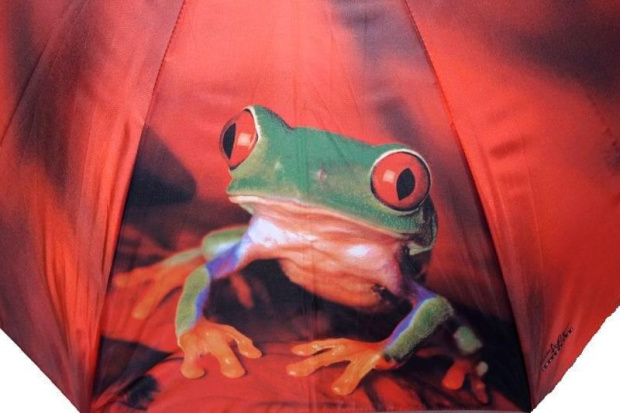 parasol doppler żaba